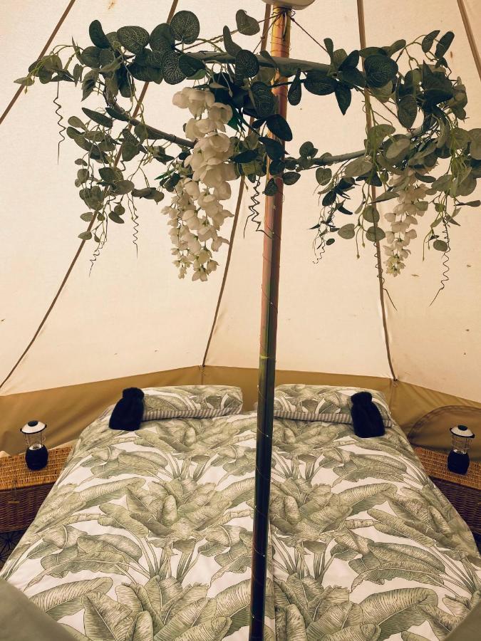 Duneden Belle Glamping Randalstown Kültér fotó