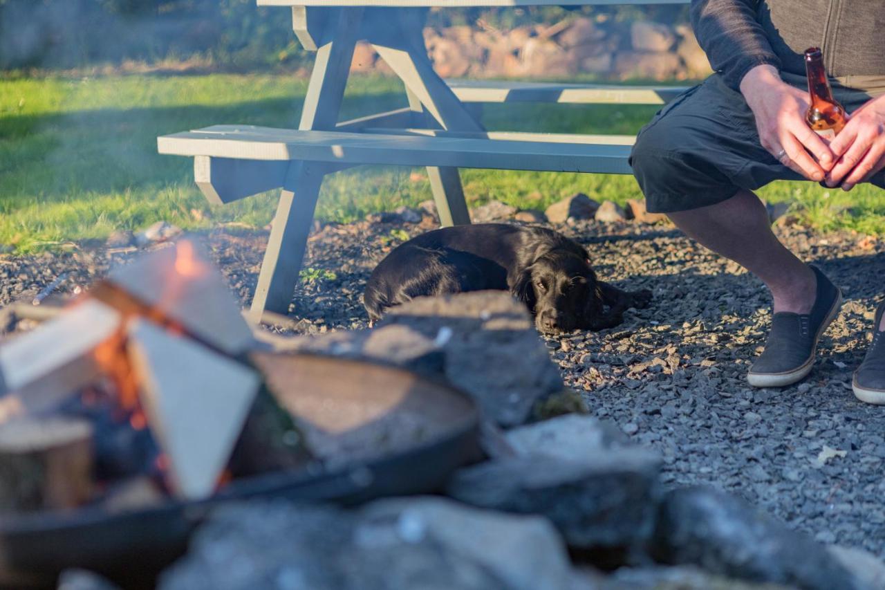 Duneden Belle Glamping Randalstown Kültér fotó